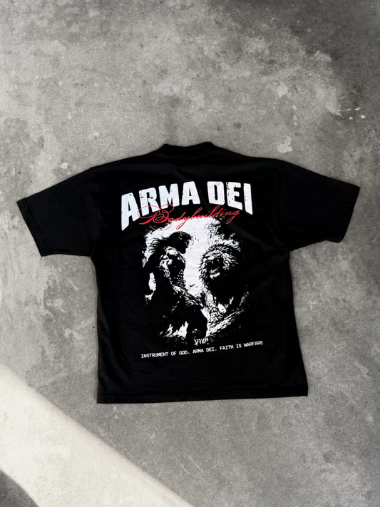 "Samson and The Lion" Oversized Boxy Tee