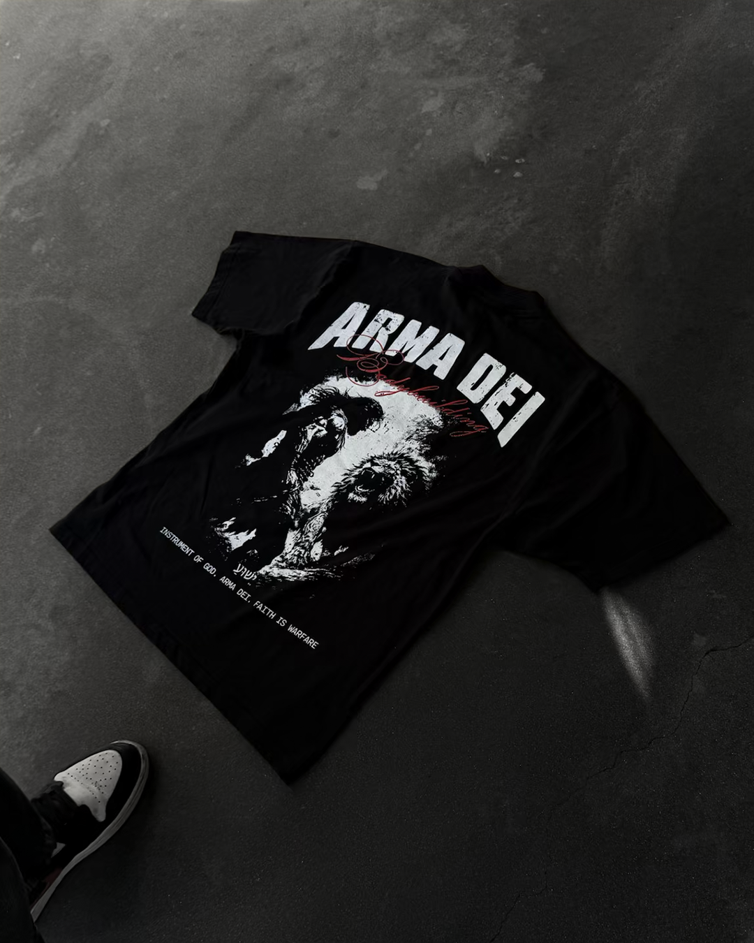 "Samson and The Lion" Oversized Boxy Tee