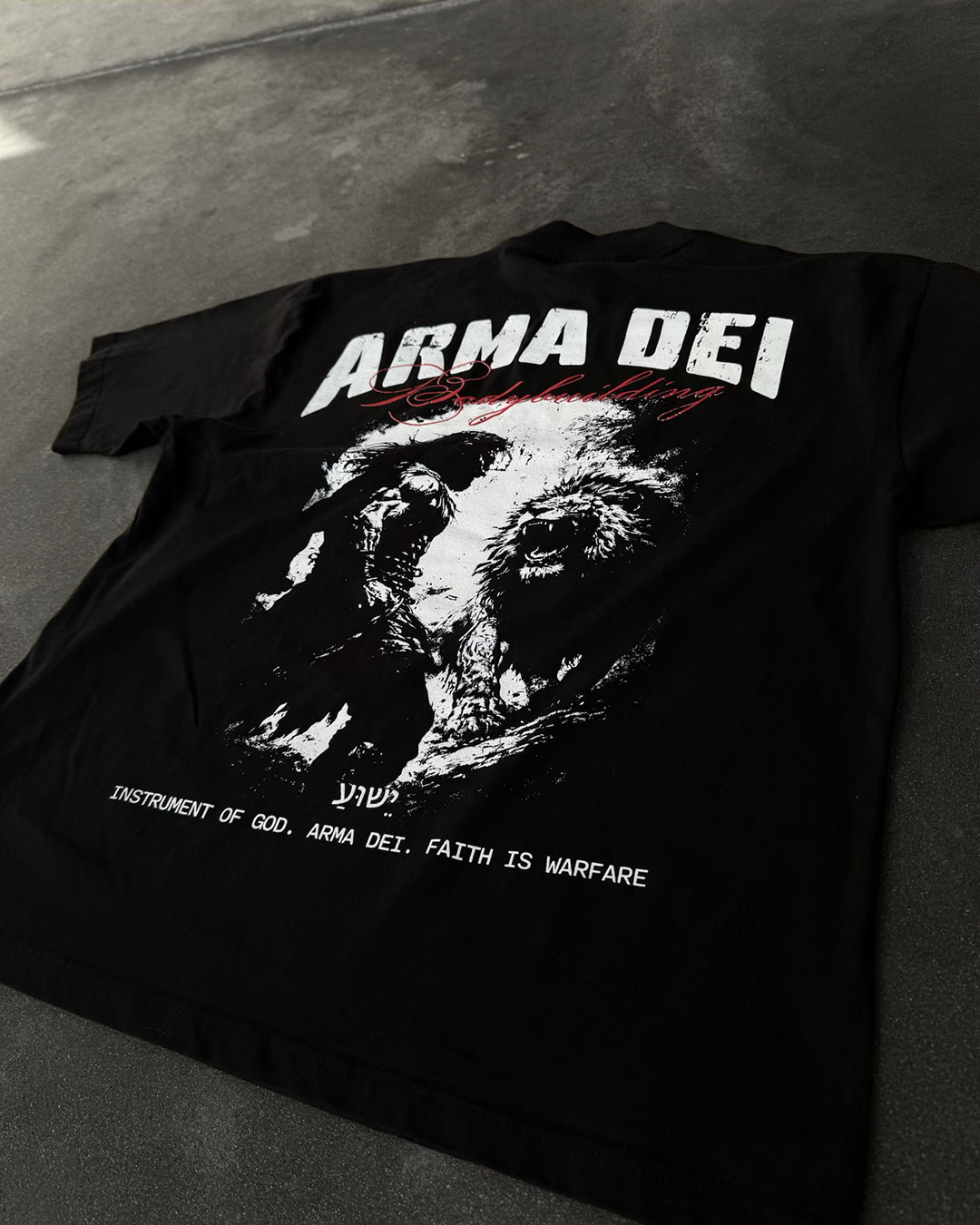 "Samson and The Lion" Oversized Boxy Tee